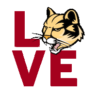 College Athletics Sticker by IU Kokomo