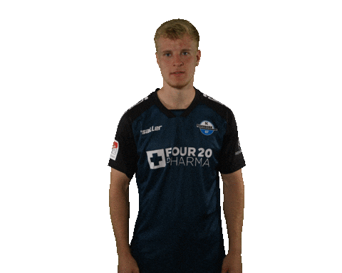 Hansen Scp07 Sticker by SC Paderborn 07