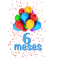 Festa 6Meses Sticker