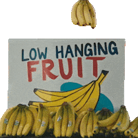 Middle Of Nowhere Fruit Sticker by Kacey Musgraves