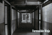 Prison Jail GIF by Formación Ninja
