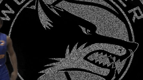 See Ya Hello GIF by Worcester Wolves