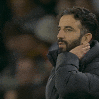 Happy Celebration GIF by Manchester United