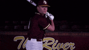 PRCCAthletics wildcats mississippi juco prcc GIF