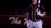 PRCCAthletics wildcats mississippi juco prcc GIF