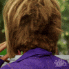 Always Sunny Fx GIF by It's Always Sunny in Philadelphia