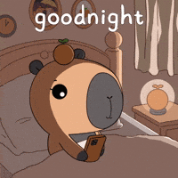 Sweet Dreams Sleeping GIF by CAPY-ERA