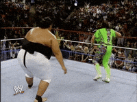 Royal Rumble Wrestling GIF by WWE