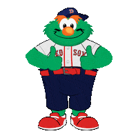 Red Sox Baseball Sticker by Boston Red Sox