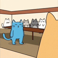 Blue Cat No GIF