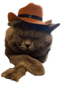 Sleepy Cat Sticker by Sukrin
