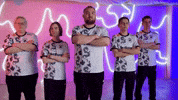 Team Fall GIF by BLAST