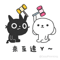 Cat Love GIF