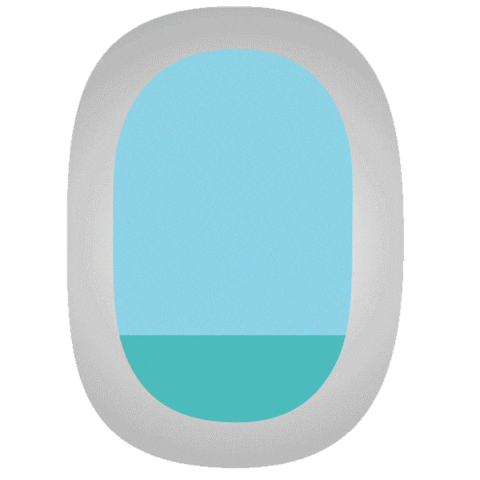 Fly Plane Sticker by Air Caraïbes