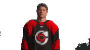 Hockey Echl Sticker by Cincinnati Cyclones
