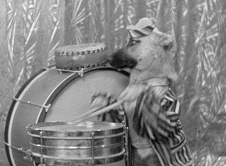 warner archive dogs GIF