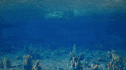 KEYSmetaverse nft token meta keys GIF