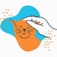 GiveGab cat givegab GIF