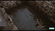 Jack Nicholson 60S GIF by Turner Classic Movies