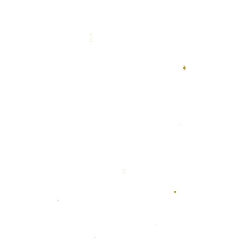 Star Sticker by TURN | ERIN Brands,  LLC