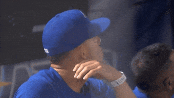 Blue Jays Smile GIF by Toronto Blue Jays
