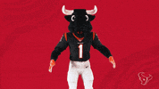 Breathe Deep Breath GIF by Houston Texans
