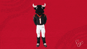 Nfl No GIF by Houston Texans