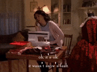 season 5 netflix GIF by Gilmore Girls 