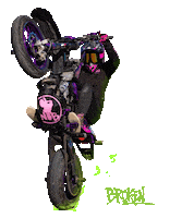 Pink Bike Sticker by Broken Head