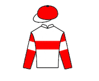 Hkir Sticker by HKJC Racing Sports