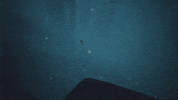 annapurnainteractive annapurnainteractive edithfinch GIF