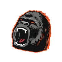 dieselrcorp logo orange monkey head Sticker