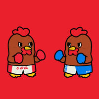 Boxing Box GIF by COQINU