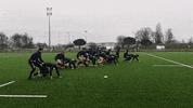 Agen_Rugby rugby sua top14 agen rugby GIF