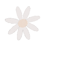 Flower Daisy Sticker
