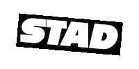 stadhaarlem logo stad stichting zwartwit Sticker