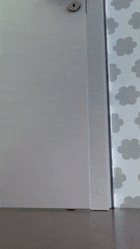 PackyDuck yellow duck talk peak GIF