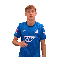 Sport Bundesliga Sticker by TSG Hoffenheim