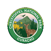 Park Cura Sticker by Curacao FTW