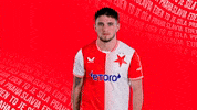 Football Celebration GIF by SK Slavia Praha
