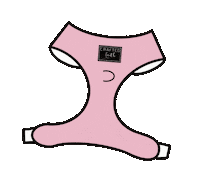 words_by_morgan dog dogmom harness wordsbymorgan Sticker