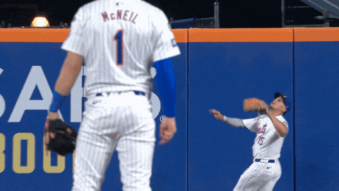 Jeff Mcneil Baseball GIF by New York Mets