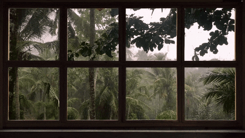 House Rain GIF