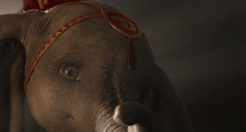 elephant dumbo GIF by Walt Disney Studios