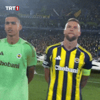 Matchday Kadıköy GIF by TRT