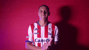Sanluis Adsl GIF by Atlético de San Luis