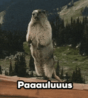 Beachboys Paulus GIF