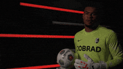 Germany Football GIF by Bundesliga