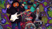 sub pop records GIF by So Pitted