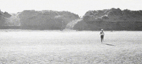 supernovaliving wellness organic protein supernova GIF